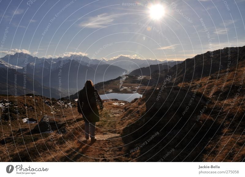 Der Sonne entgegen Natur Landschaft Pflanze Tier Himmel Horizont Herbst Schönes Wetter Alpen Berge u. Gebirge beobachten Bewegung gehen genießen laufen Blick