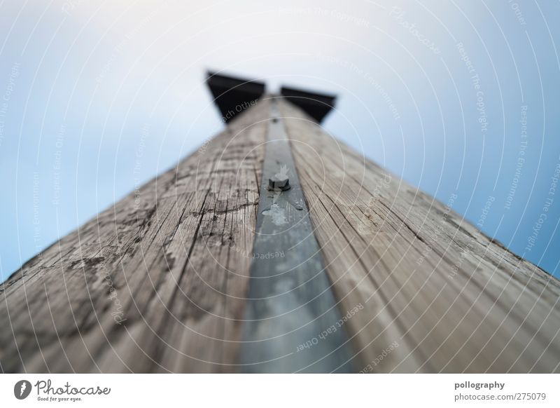 ohne mich hält hier nichts Wolkenloser Himmel Schönes Wetter Turm Holz Metall anstrengen Baumstamm Schraube Linie Blauer Himmel Holzpfahl Holzstruktur Maserung