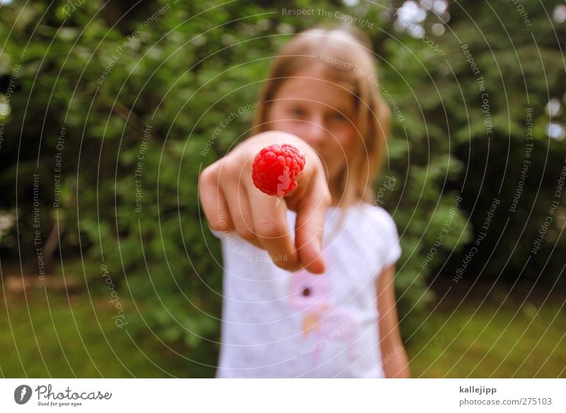 so schmeckt der sommer Lebensmittel Frucht Ernährung Picknick Bioprodukte Vegetarische Ernährung Lifestyle Freizeit & Hobby Mensch Mädchen 1 8-13 Jahre Kind