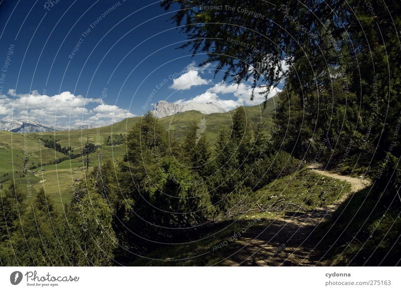 Auf dem Weg harmonisch Wohlgefühl Erholung ruhig Ferien & Urlaub & Reisen Tourismus Ausflug Ferne Freiheit wandern Umwelt Natur Landschaft Himmel Sommer