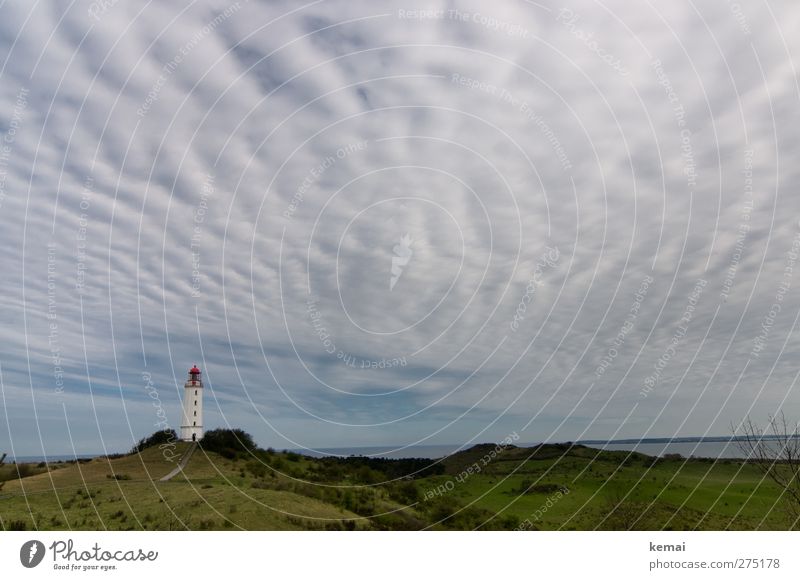 Hiddensee | Wellenhimmel und ein Turm Umwelt Natur Landschaft Himmel Wolken Frühling Gras Hügel Ostsee Meer Insel Leuchtturm Bauwerk Gebäude grün ruhig