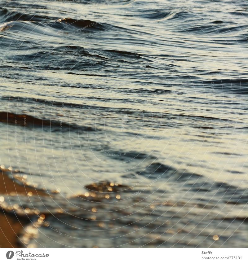 Lichtmomente an der Ostsee Meer maritim sanfte wellen Strand Wasser Wellen Küste Seeufer ruhig Meeresstimmung Abendstille hellblau Lichtstimmung Erholung Stille