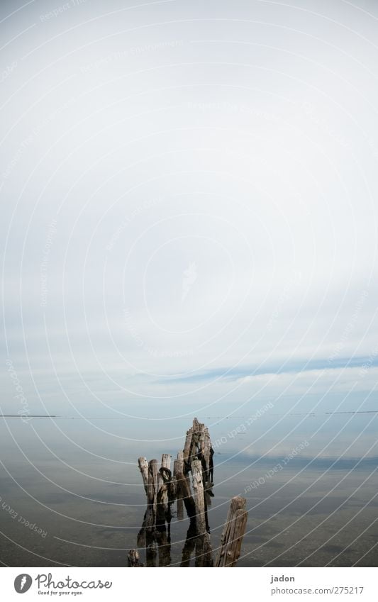 reise nach nirgendwo. Ferne Sommer Meer Natur Landschaft Urelemente Wasser Himmel Horizont Schönes Wetter Nordsee alt außergewöhnlich Unendlichkeit lang blau