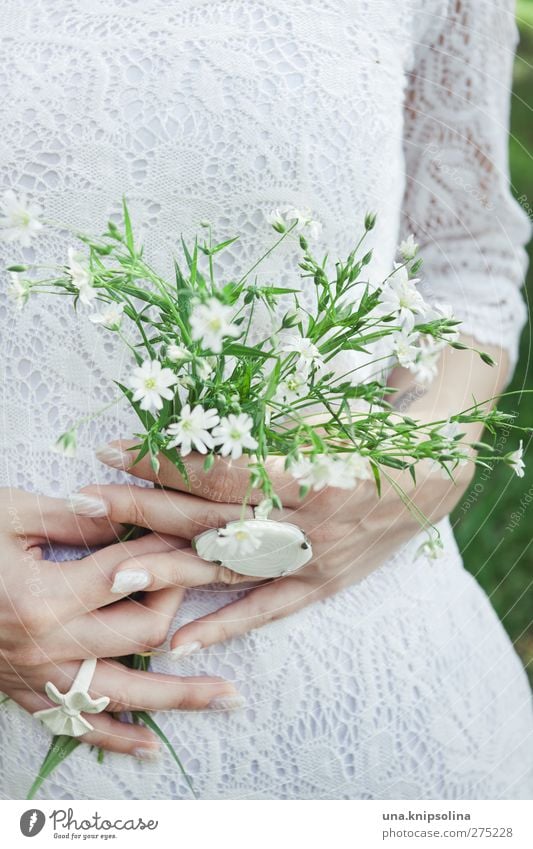 verdoyant et blanc.. feminin Junge Frau Jugendliche Erwachsene Hand 1 Mensch 18-30 Jahre Pflanze Blume Blüte Grünpflanze Spitze Schmuck Ring festhalten