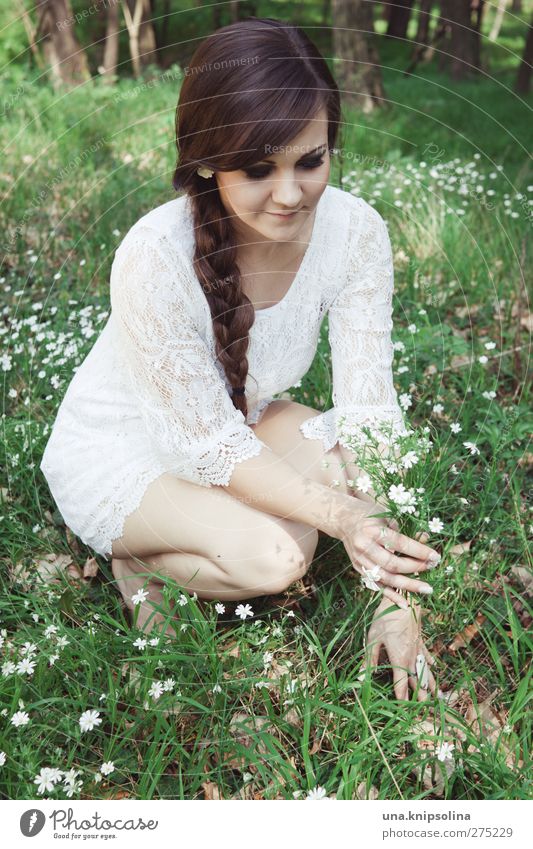 verdoyant et blanc. Schminke Junge Frau Jugendliche Erwachsene 1 Mensch 18-30 Jahre Pflanze Blume Gras Blüte Wiese Wald Mode Kleid Spitze brünett langhaarig