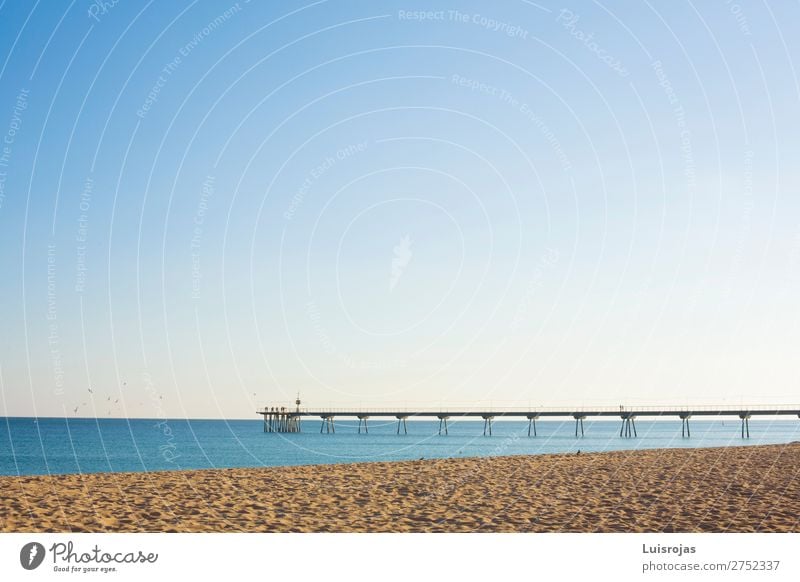 Maritime Fußgängerbrücke über das Meer an einem sonnigen Tag Freude ruhig Spielen Sport Natur Landschaft Sand Wasser Himmel Sonne Frühling Sommer Schönes Wetter