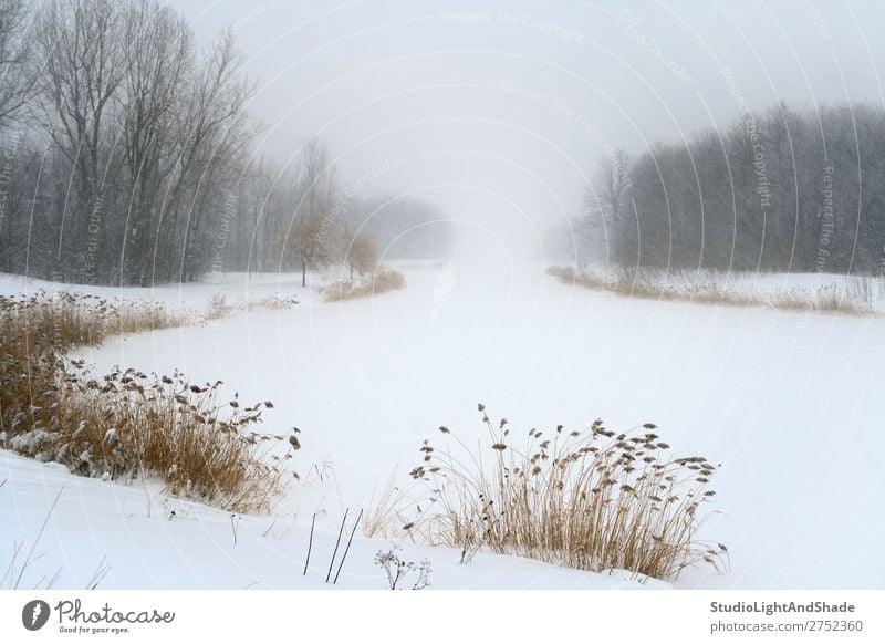 See im Nebel des Wintersturms schön ruhig Schnee Natur Landschaft Wetter Schneefall Baum Gras Wald frieren trist weiß Gelassenheit Frieden Dunst gefroren