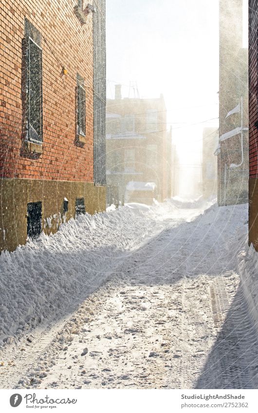 Schneesturm im Sonnenlicht Winter Wetter Unwetter Wind Schneefall Stadt Gebäude Straße frieren hell weiß stürmisch Großstadt urban Schneewehe Flocken