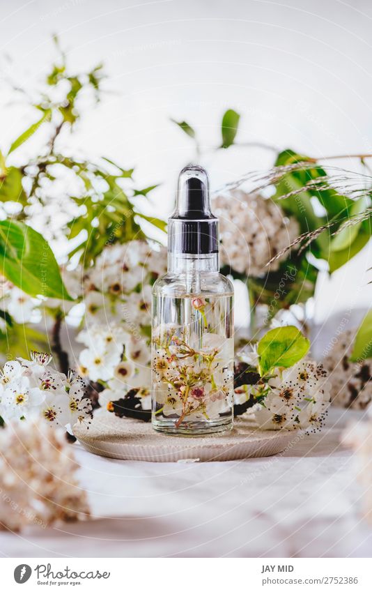 Ätherisches Öl, mit natürlichen Kirschblüten Kräuter & Gewürze Lifestyle Körperpflege Kosmetik Gesundheitswesen Behandlung Seniorenpflege Medikament Wellness