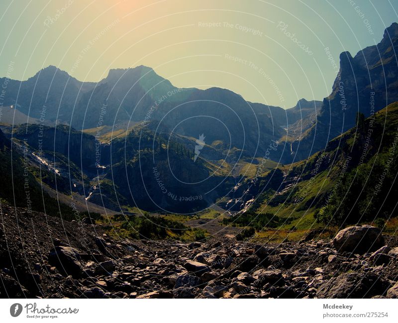 Geröllschutt und Gletscherschwund Umwelt Natur Landschaft Wasser Wolkenloser Himmel Sonne Sonnenlicht Sommer Schönes Wetter Wärme Pflanze Baum Gras Sträucher