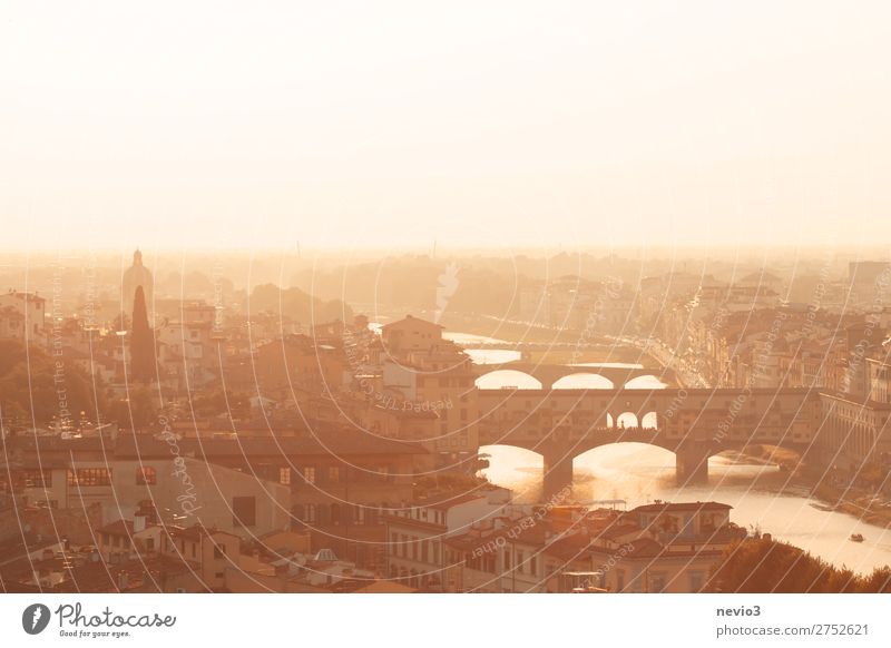 Ponte Vecchio in Florenz Stadt Stadtzentrum Altstadt Skyline Haus Bauwerk Gebäude Architektur Sehenswürdigkeit Wahrzeichen Denkmal gelb gold Toskana Brücke