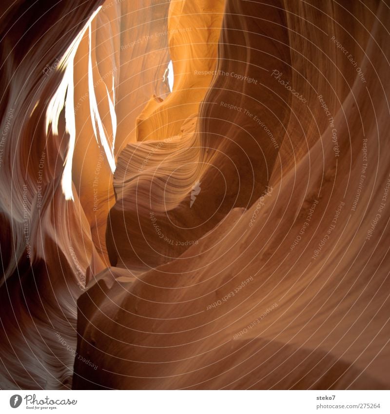 Wellengang Felsen Schlucht rund gelb gold Antelope Canyon Wellenform Gang Tunnelblick Gedeckte Farben Außenaufnahme Menschenleer Starke Tiefenschärfe