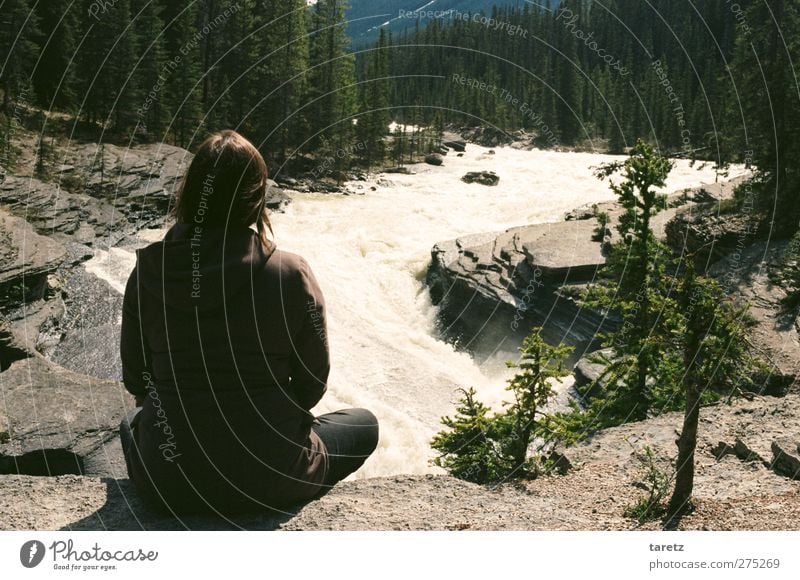 Rauschen feminin Junge Frau Jugendliche 1 Mensch Umwelt Schönes Wetter Wald Felsen Berge u. Gebirge Rocky Mountains Fluss Wasserfall frei Glück Unendlichkeit