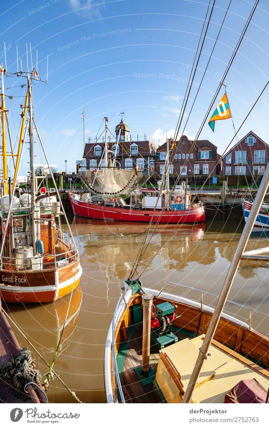 Hafen in Neuharlingersiel Ferien & Urlaub & Reisen Tourismus Ausflug Abenteuer Ferne Freiheit Sightseeing Fischerdorf Menschenleer Sehenswürdigkeit Wahrzeichen