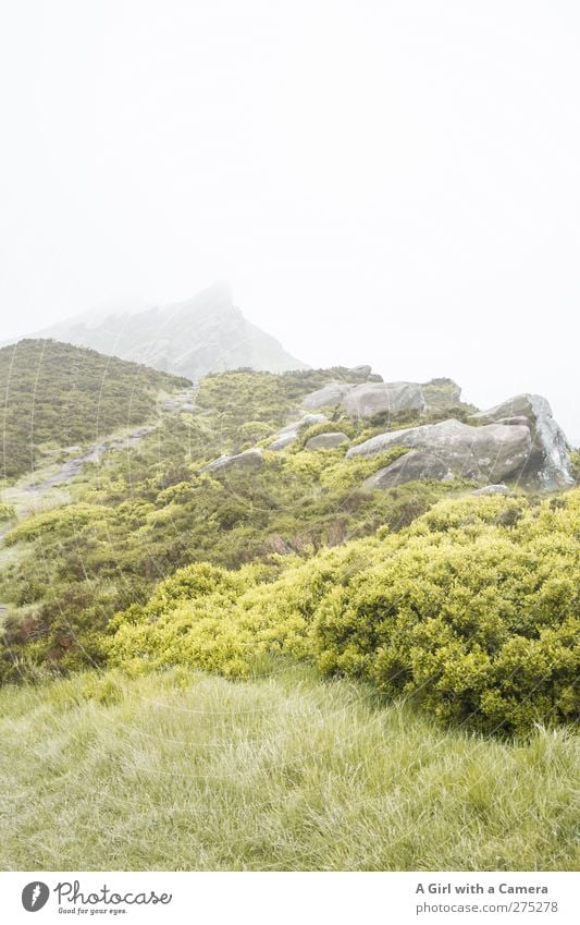 weitere Wetter aussichten Umwelt Natur Landschaft Pflanze Urelemente Frühling Sommer schlechtes Wetter Nebel Hügel Felsen Berge u. Gebirge Gipfel natürlich wild