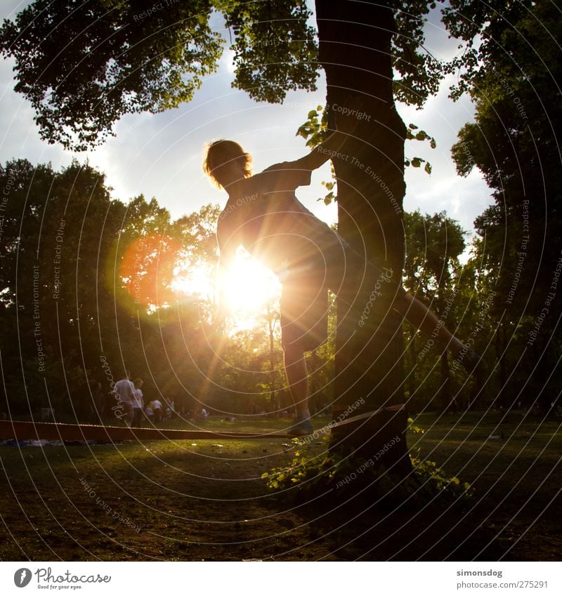 berlin slacking Freizeit & Hobby Sport Mensch Junger Mann Jugendliche Leben 1 Natur Sommer Sonne Baum Park Wiese leuchten ruhig Leichtigkeit Slackliner Funsport