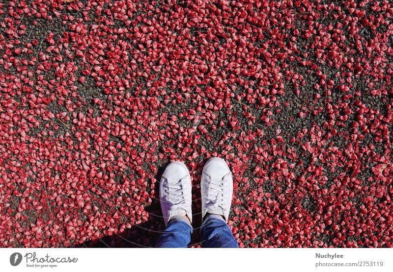 Selfie der Füße in modischen Turnschuhen auf roter Blume Lifestyle Stil Ferien & Urlaub & Reisen Abenteuer Freiheit Mensch Fuß Mode Bekleidung Jeanshose Schuhe