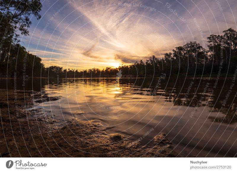 Sonnenuntergang am Murray-Fluss schön Erholung Freizeit & Hobby Camping Umwelt Natur Landschaft Himmel Dürre Baum Blatt See blau grün Australien Hintergrund Ast