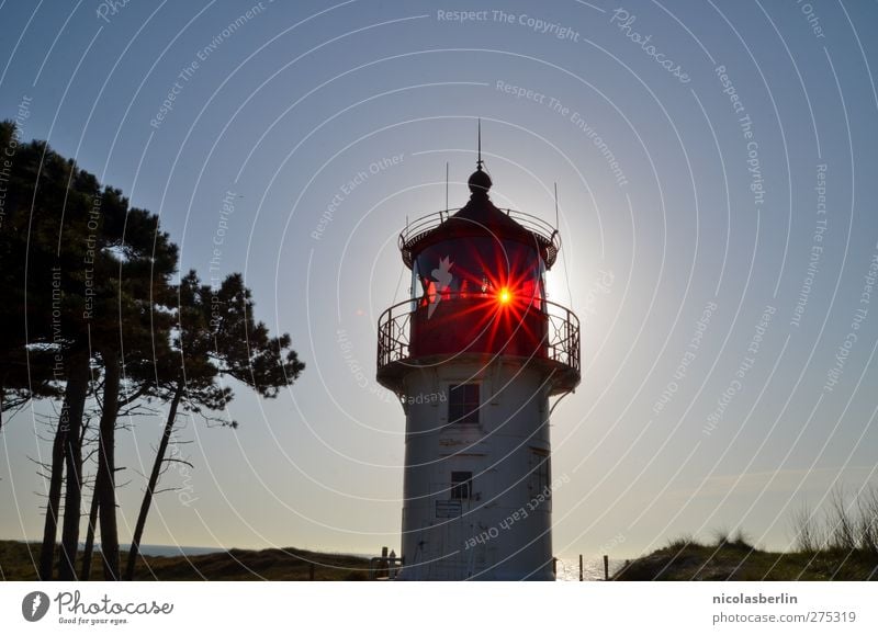 Hiddensee | Shine On Old Boy Leuchtturm Bauwerk Gebäude Architektur leuchten elegant Sicherheit Baum Farbfoto Außenaufnahme Textfreiraum rechts