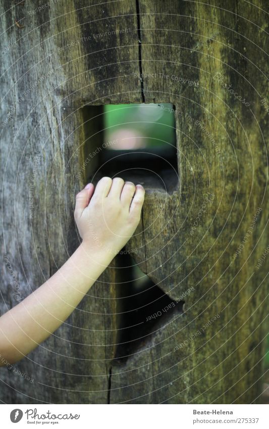 Hier muss dringend durchgegriffen werden Freizeit & Hobby Kinderspiel Arme Hand Baum festhalten Spielen eckig braun Quadrat Dreieck Durchblick Farbfoto