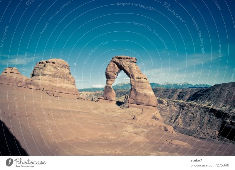 Delicate Arch Wolkenloser Himmel Mond Felsen Berge u. Gebirge Bekanntheit blau braun gelb Arches National Park zierlich Farbfoto Außenaufnahme Textfreiraum oben