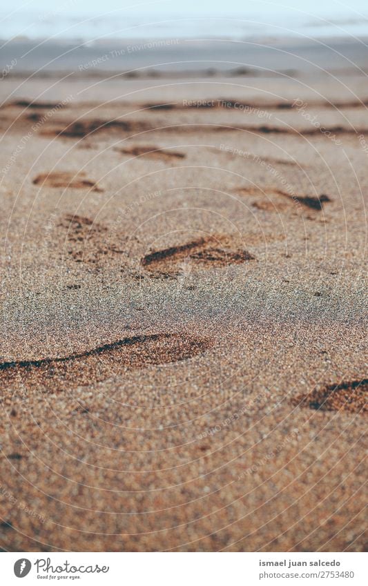 Fußabdrücke auf dem Sand Strand Fußspur Küste Außenaufnahme Natur Landschaft Hintergrund ruhig Gelassenheit Stille Erholung romantisch Bilbao Spanien