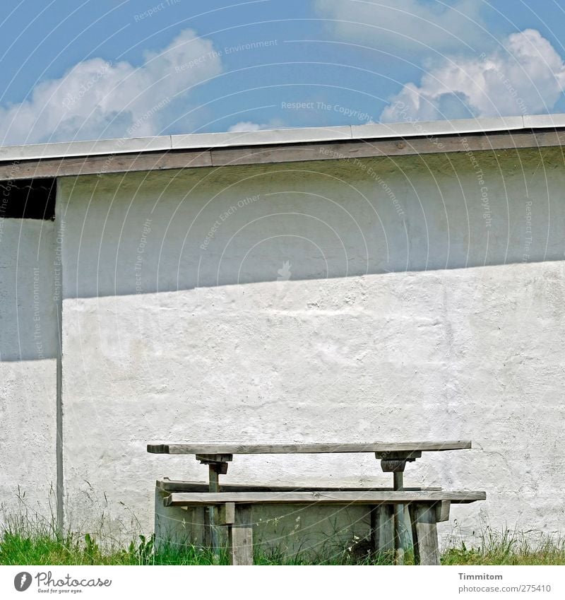 Da sitzen, schauen, denken Ferien & Urlaub & Reisen Sommer Umwelt Dänemark Haus Mauer Wand Dach Stein Holz Blick stehen ästhetisch einfach hell Sauberkeit blau