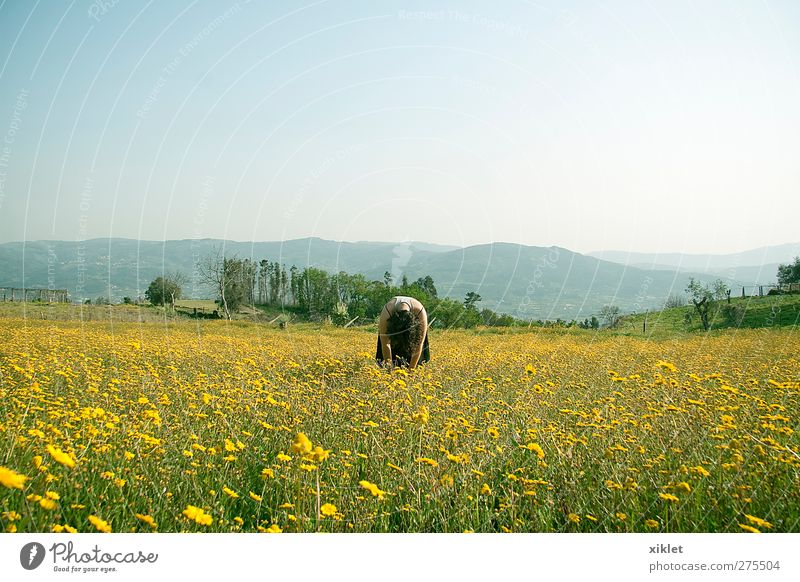 Gänseblümchen Blume Feld liegen Erholung schlafen Natur Reinheit einfach Gesundheit Frieden Freude Freiheit Wind Frühling gelb grün Esprit Junge Frau Meditation