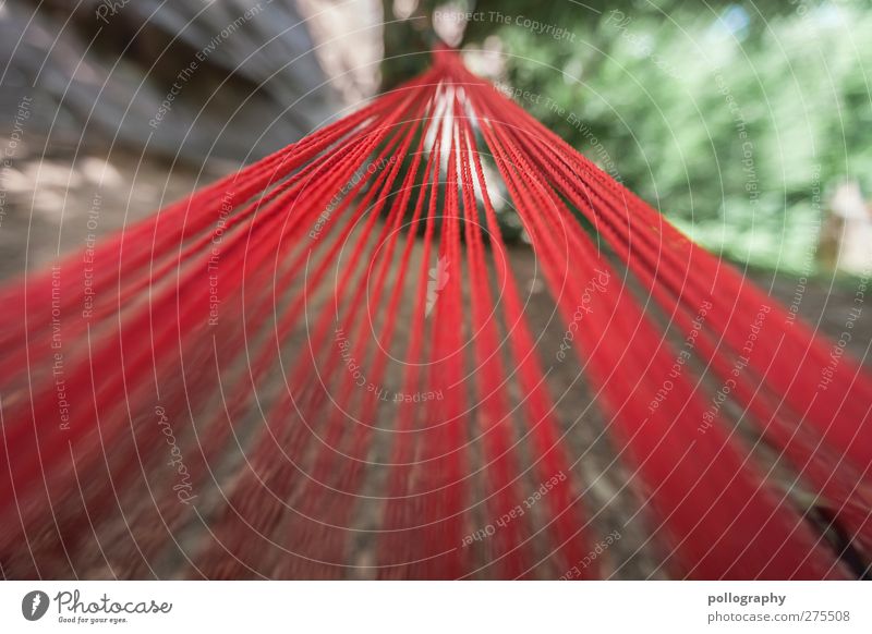 alle Wege führen nach.... Sommer Pflanze Baum Park Wald grün rot Hängematte Linie Seil Schnur Erde gebunden befestigen Perspektive Fluchtpunkt Farbfoto