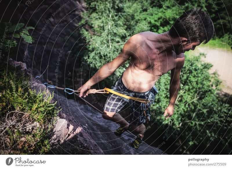 don't look down Freizeit & Hobby Klettern Kletteranlage Mensch Junger Mann Jugendliche Erwachsene Leben 1 18-30 Jahre Natur Landschaft Pflanze Sommer