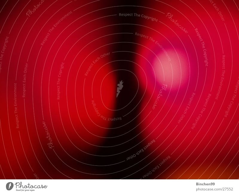 Rot - Rot rot schwarz 2 Unschärfe gegeneinander Makroaufnahme Nahaufnahme Gesprächspartner