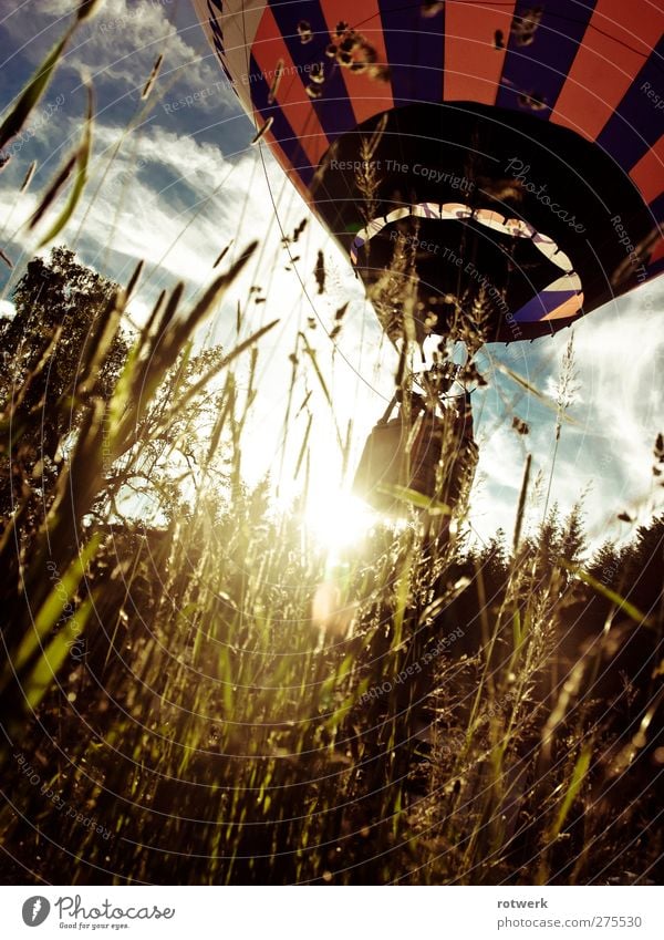 Grillentraum Freizeit & Hobby Ausflug Abenteuer Ferne Sommer Sonne Natur Pflanze Wolken Schönes Wetter Baum Gras Wiese Wald Fluggerät Ballone Ballonkorb