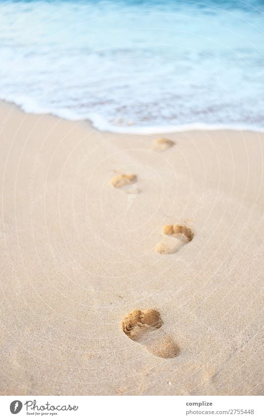 Fußspuren ins Meer Glück Gesundheit Wellness harmonisch Wohlgefühl Spa Schwimmen & Baden Ferien & Urlaub & Reisen Tourismus Ferne Sommer Sommerurlaub Sonne