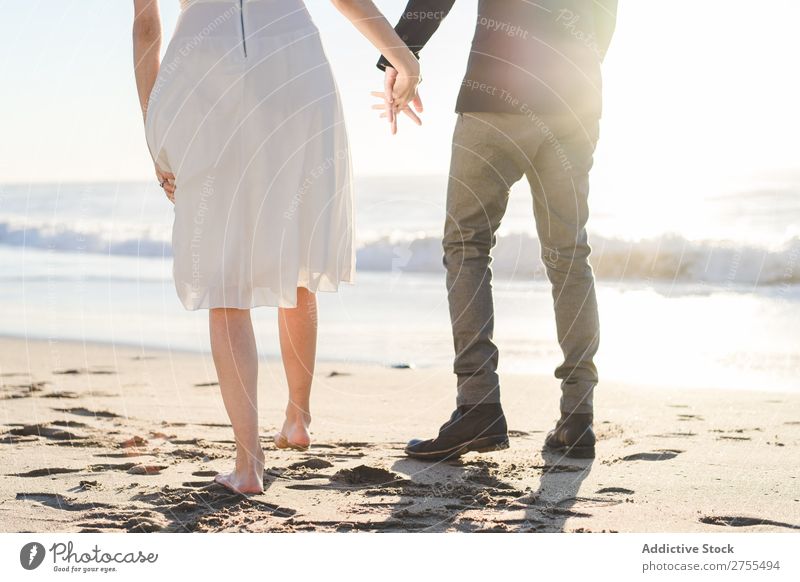 Pflanzen Sie Braut und Bräutigam auf Sand. Paar striegeln Strand stehen Fuß verliebt Jungvermählte Natur Küste Sonnenlicht Partnerschaft Beautyfotografie Barfuß