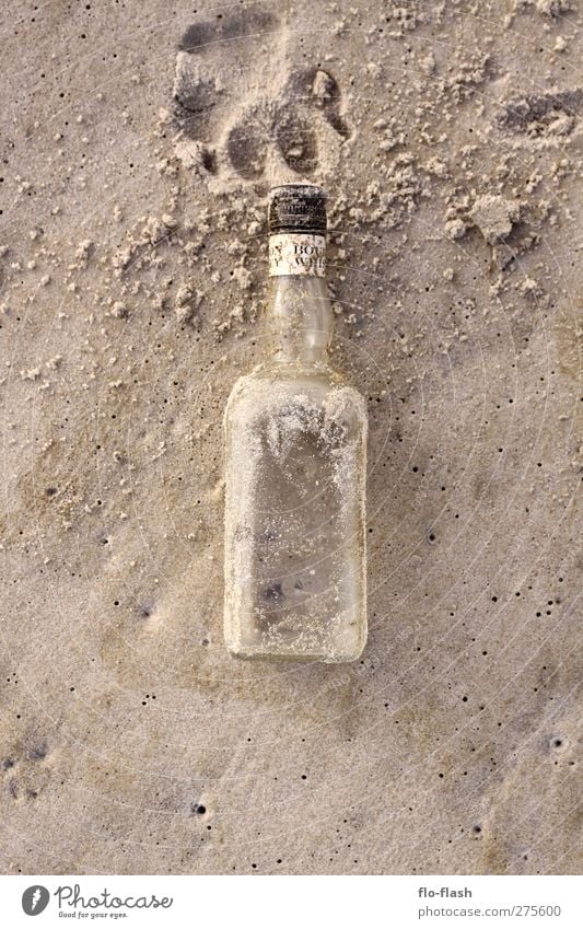 golden whiskey & big dogs Lebensmittel Getränk Alkohol Spirituosen Whiskey Bourbon Flasche Sand Küste Strand Bucht Nordsee Insel Glas authentisch Farbfoto