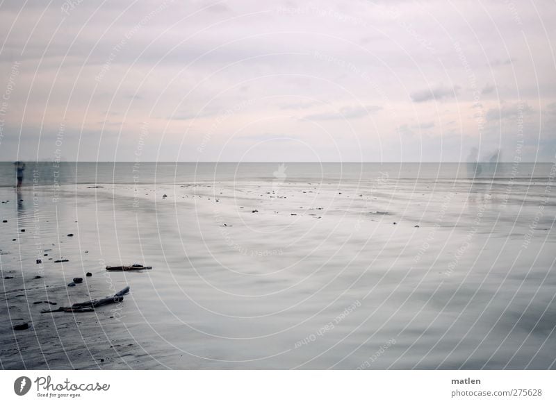 les fantômes Mensch Landschaft Sand Wasser Himmel Wolken Horizont Wetter Küste Meer gehen stehen grau Erinnerung Gedeckte Farben Außenaufnahme Textfreiraum oben