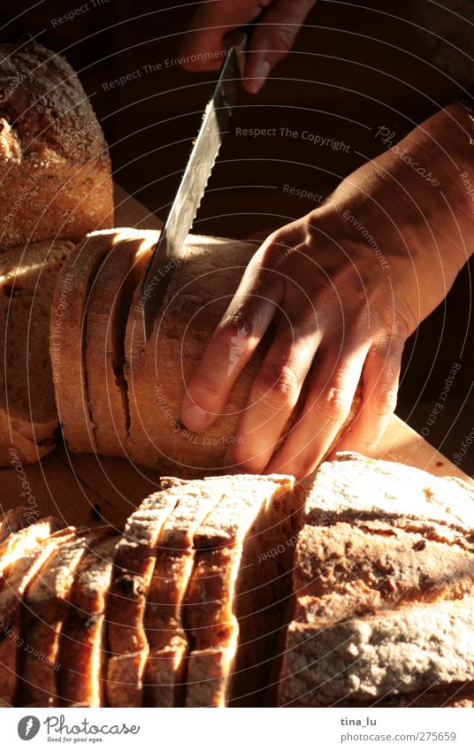 Brotzeit Getreide Teigwaren Backwaren Ernährung Frühstück Abendessen Festessen Picknick Messer feminin Junge Frau Jugendliche Hand Finger 1 Mensch genießen