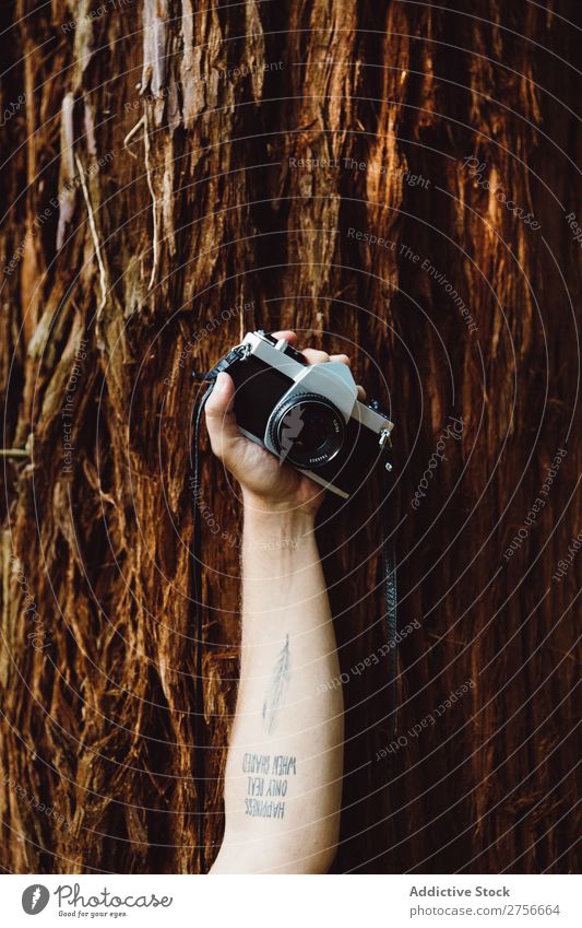 Hand mit Kamera im Wald Tourist Fotokamera Natur Ferien & Urlaub & Reisen Abenteuer Berge u. Gebirge Lifestyle Park Porträt Landschaft Tourismus wandern schön