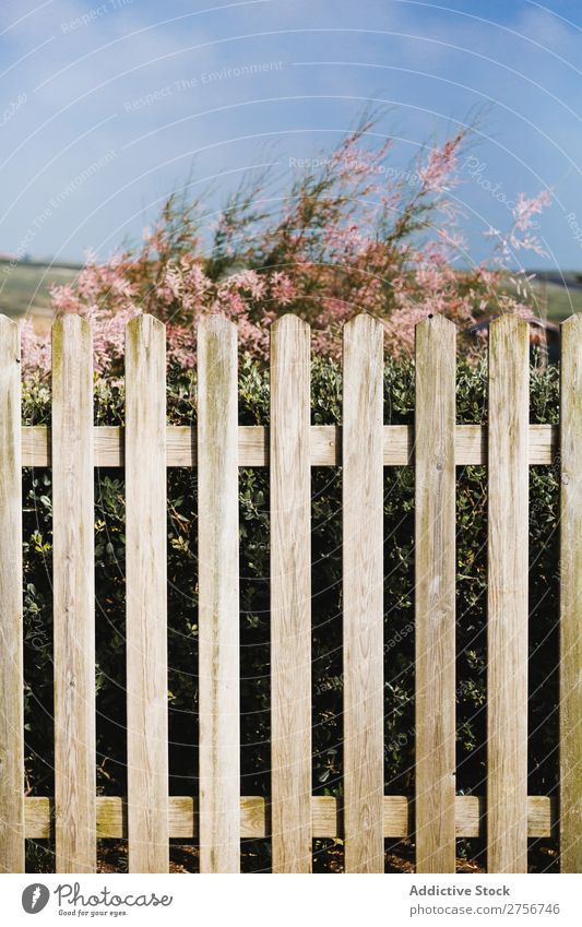 Busch hinter dem Zaun Sträucher Himmel blau grün Garten Sommer Wolken ländlich Natur Holz Nutzholz Blume Gartenarbeit Blatt Pflanze Wind Landschaft schön