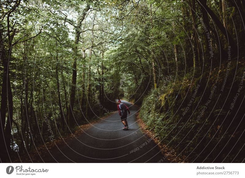 Mann auf dem Skateboard auf der Forststraße Wald Freude Schlittschuhlaufen Mensch Sport extrem Bewegung Energie Straße Aktion Ausritt Gleichgewicht Lifestyle