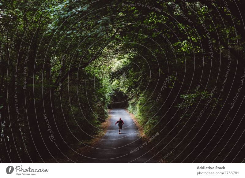 Mann auf dem Skateboard auf der Forststraße Wald Freude Schlittschuhlaufen Mensch Sport extrem Bewegung Energie Straße Aktion Ausritt Gleichgewicht Lifestyle