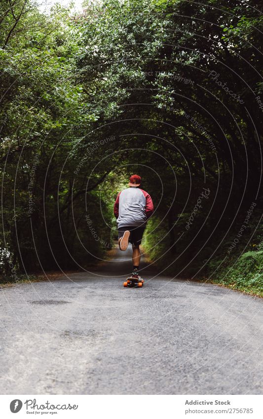 Mann auf dem Skateboard auf der Forststraße Wald Freude Schlittschuhlaufen Mensch Sport extrem Bewegung Energie Straße Aktion Ausritt Gleichgewicht Lifestyle