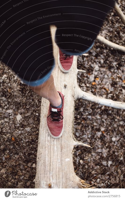 Mann Tourist, der auf dem Kofferraum spazieren geht. Wald Rüssel Gleichgewicht Beine wandern Ferien & Urlaub & Reisen Natur Abenteuer Ausflug Mensch Lifestyle