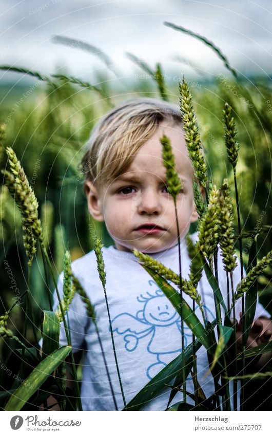 Yannik maskulin Kind Kindheit Kopf Auge 1 Mensch 1-3 Jahre Kleinkind Kommunizieren Blick warten authentisch Ferne nah Neugier stark grün selbstbewußt Kraft