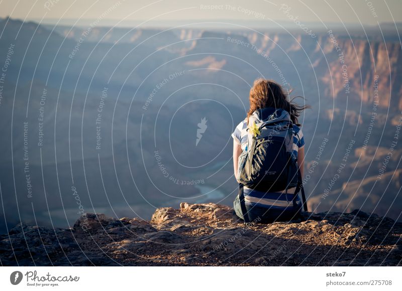 waiting for the sun feminin Frau Erwachsene 1 Mensch Felsen Berge u. Gebirge Schlucht Erholung Blick träumen warten blau braun Zufriedenheit ruhig Ferne