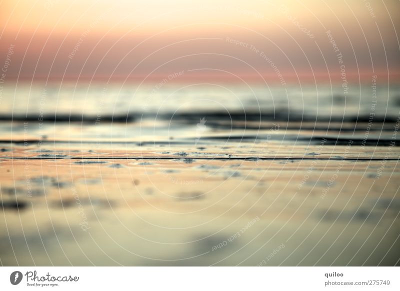 Weite Wasser Himmel Küste Strand Ostsee Flüssigkeit frei Unendlichkeit nass braun gold silber ruhig Neugier Zufriedenheit Erholung Freiheit Horizont