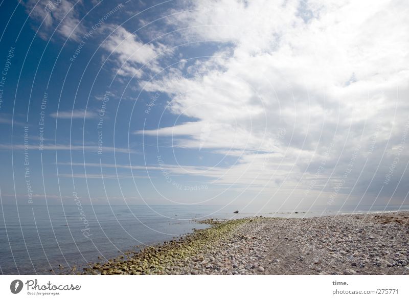 Hiddensee | Maurerparadies (de luxe version) Umwelt Natur Landschaft Erde Wasser Himmel Wolken Horizont Schönes Wetter Küste Strand Ostsee Stein ästhetisch