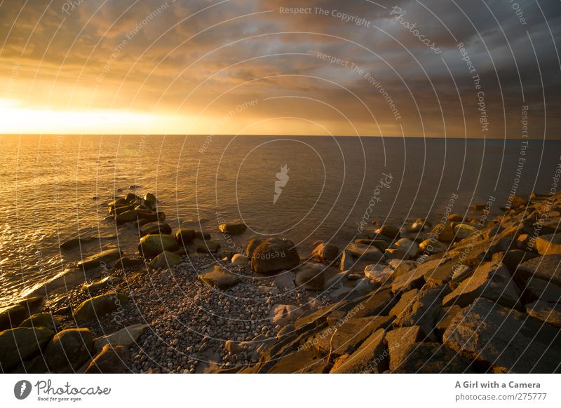 Hiddensee l a taste of real life Umwelt Natur Landschaft Himmel Wolken Gewitterwolken Frühling Schönes Wetter schlechtes Wetter Ostsee Meer Insel gold Farbfoto