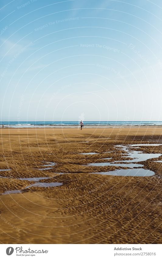 Anonymer Mann, der am Strand posiert. Sand nass Sommer Meer Ferien & Urlaub & Reisen Natur Mensch Sonnenlicht Freizeit & Hobby Erholung tropisch Seeküste