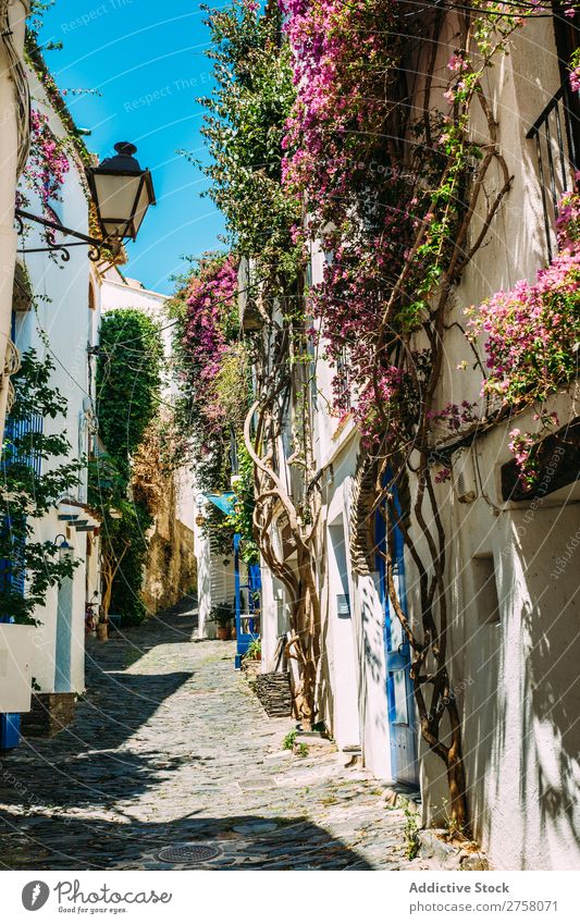 Ländliche Straßen in Cadaques, Spanien costa brava Katalonien ländlich weiß mediterran Dorf traveleurope Spanisch berühmt Sommer Himmel Architektur Ansicht Haus